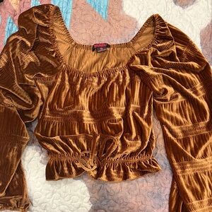 Elegant Brown Velvet Blouse